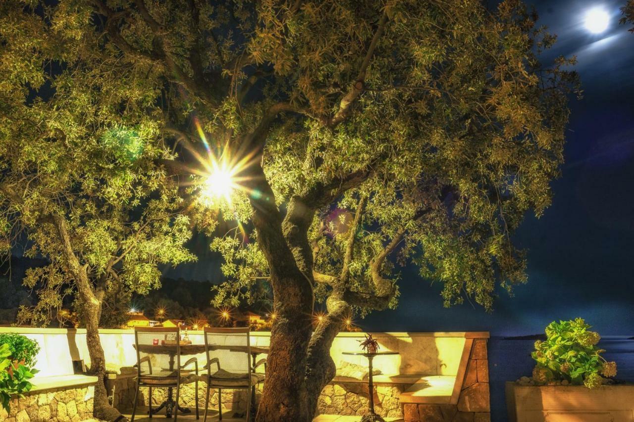 Villa Marin Molunat Εξωτερικό φωτογραφία