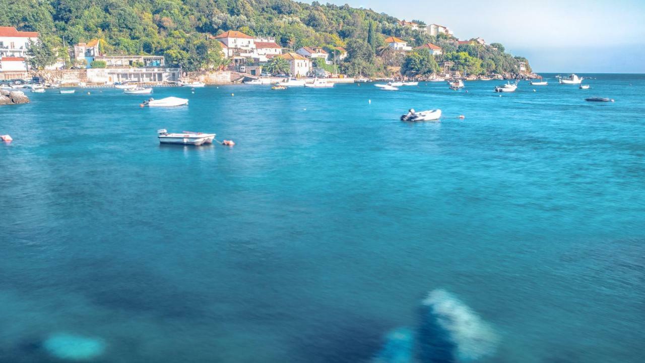 Villa Marin Molunat Εξωτερικό φωτογραφία