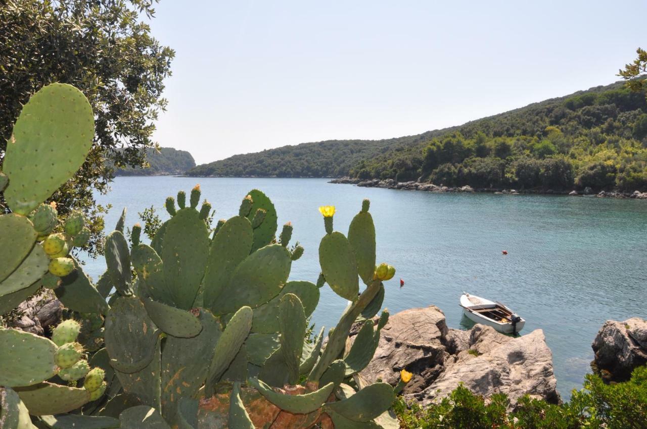 Villa Marin Molunat Εξωτερικό φωτογραφία